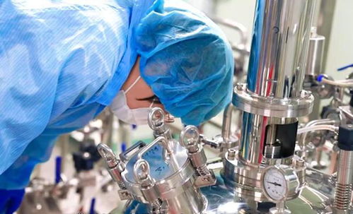 全球独家 思泊诺张国华40年科研破局,用液态菌终结吃菌无效时代