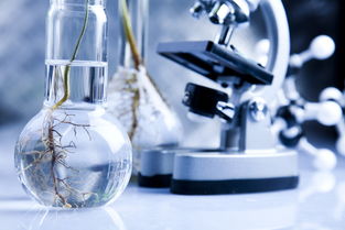 植美学 一个以自然为本的美学护肤品牌 植物科研 美学护肤