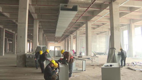 南方黑芝麻集团智能化生产基地8月投产，科研产品引领行业新变革